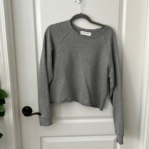 Everlane gray cropped sweatshirt